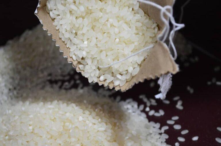 Preço do arroz está próximo do piso da temporada