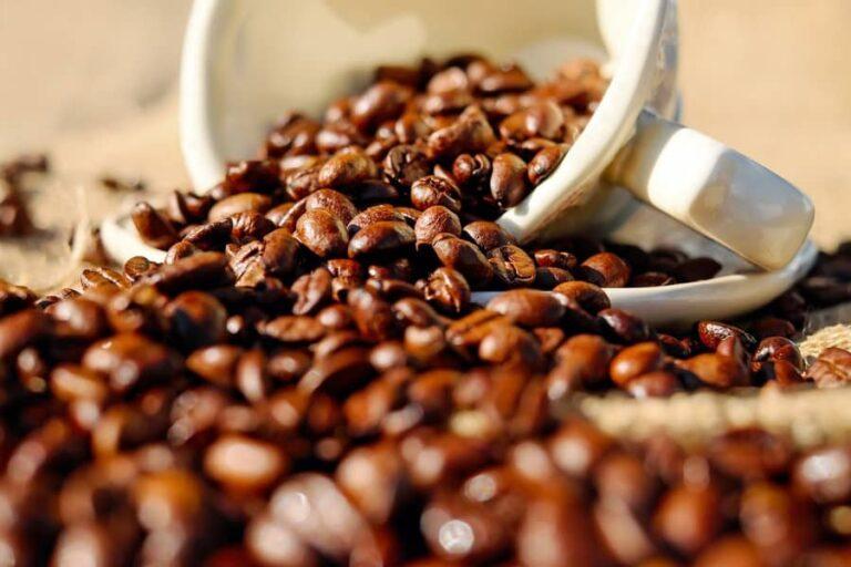 Sales of Brazil’s 2023 coffee crop reach 71% of production