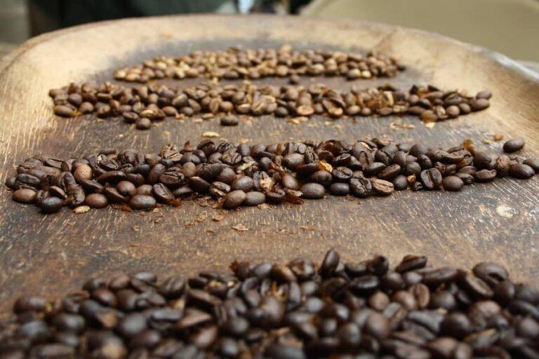 Embarques de café em fevereiro estão em 1,534 milhão de sacas – Secex