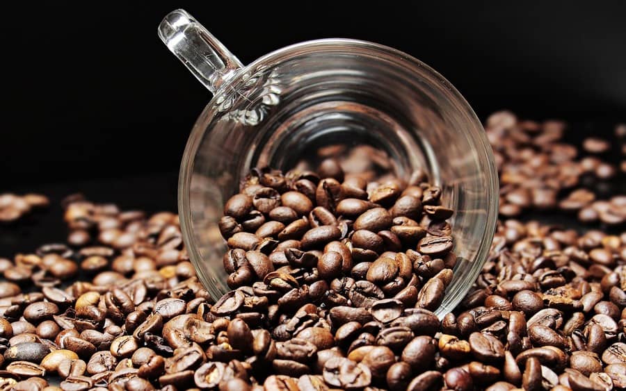 Conillon highs worry Brazilian coffee industry - SAFRAS & Mercado