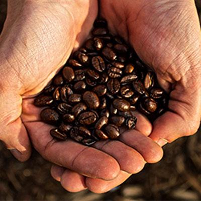 Falling Brazilian coffee exports and weaker prices