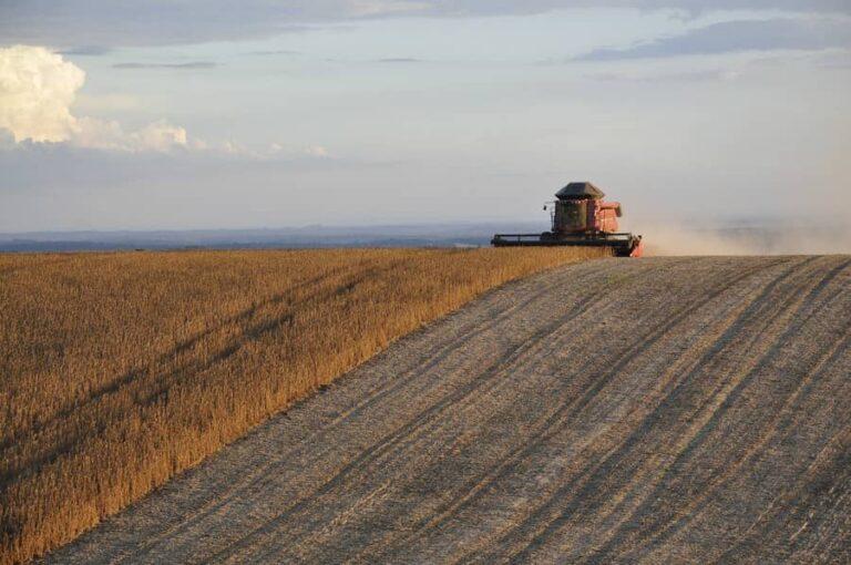 Soybean harvest advances into last areas of Brazil