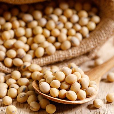 Brazilian soybean trading has another month of slow evolution