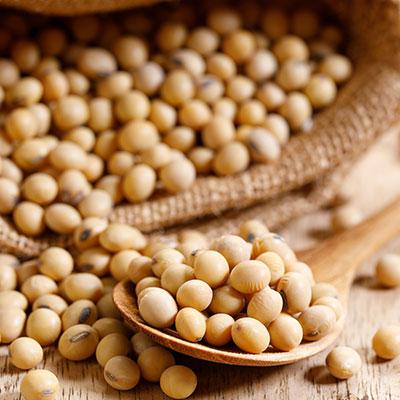 US soybean crop conditions worsen again