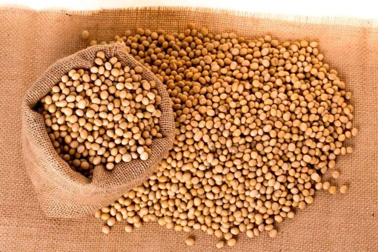 Brazilian soybean harvest remains slower than the five-year average