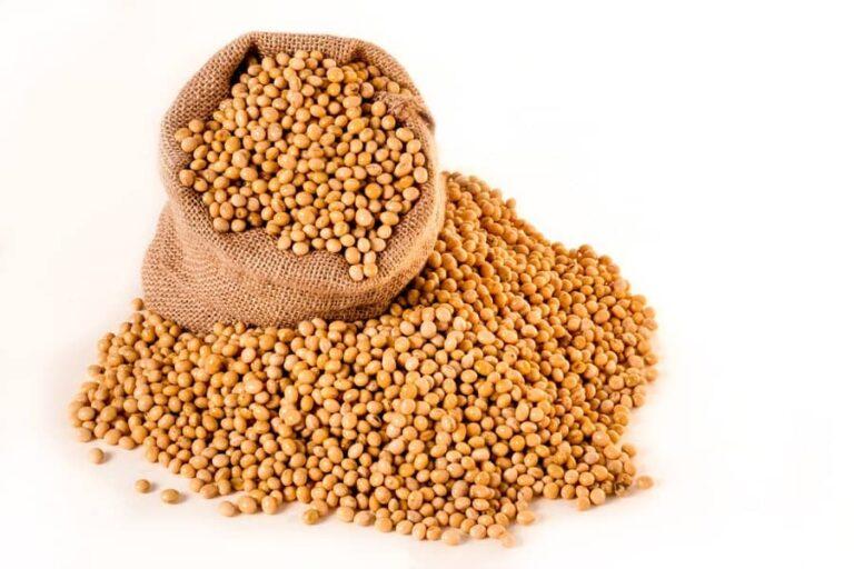 October was negative for soybean prices in Brazilian market