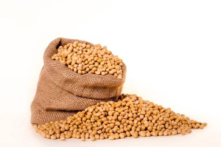 Brazilian soybean prices rise in April, following Chicago