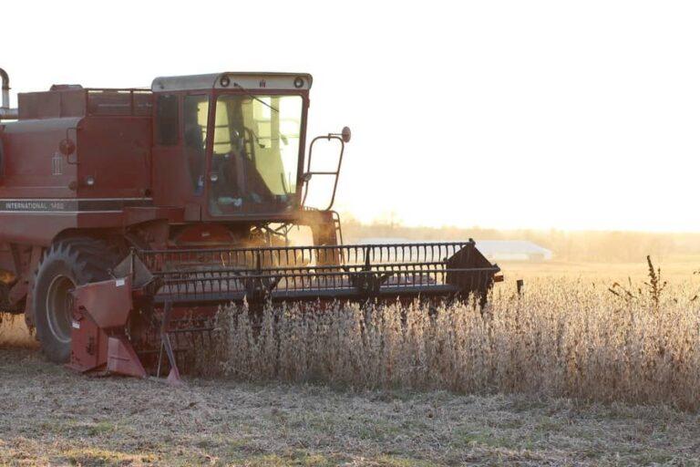 Brazilian soybean harvest almost finished