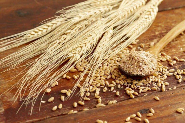 Mercado brasileiro de trigo mantém baixo interesse comprador na semana