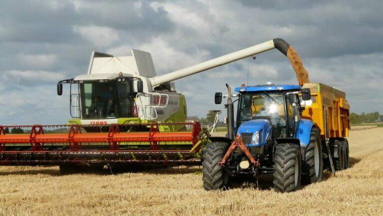 Colheita da safra 2021/22 de trigo atinge 44% na Argentina – Ministério