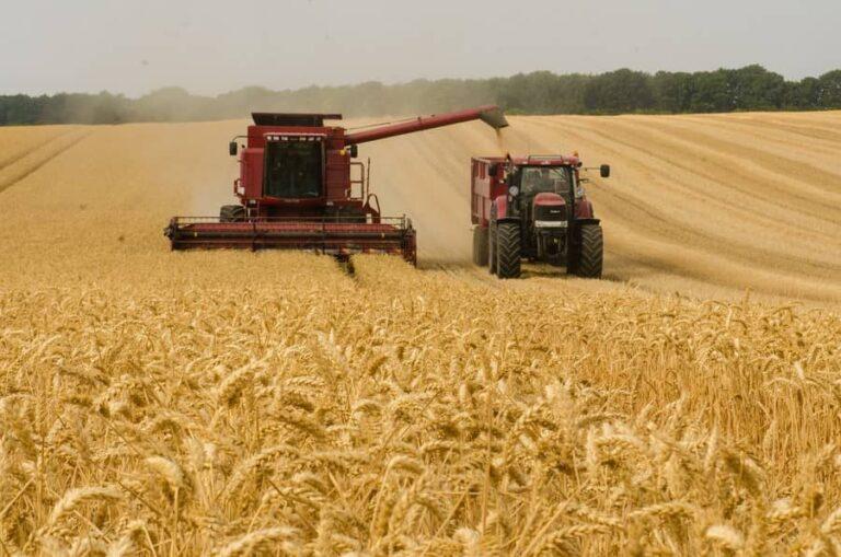 Colheita do trigo é iniciada no Brasil e clima segue no centro das atenções