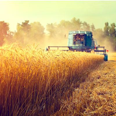 Incerteza sobre oferta da Ucrânia faz trigo fechar em forte alta em Chicago