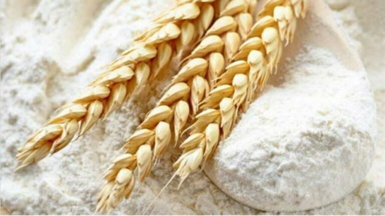 Venda líquida semanal de trigo dos EUA fica em 308.300 toneladas em 2021/22