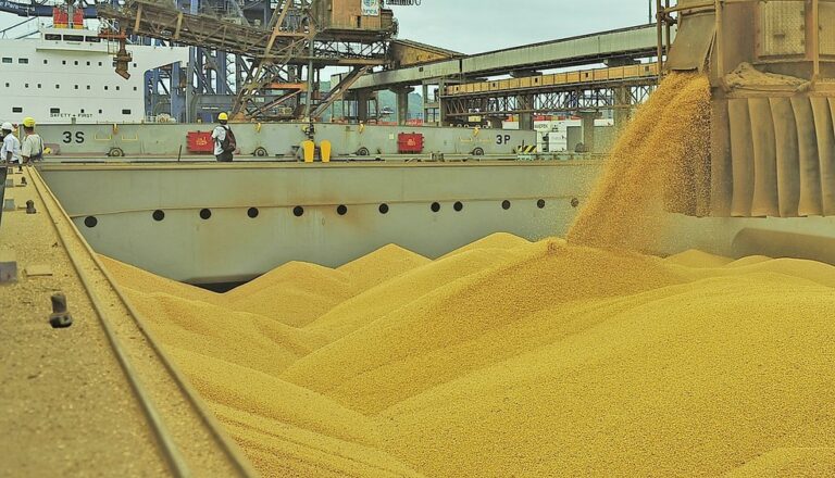 Line-up projeta embarques de 11,727 mi de toneladas de soja pelo Brasil em fevereiro