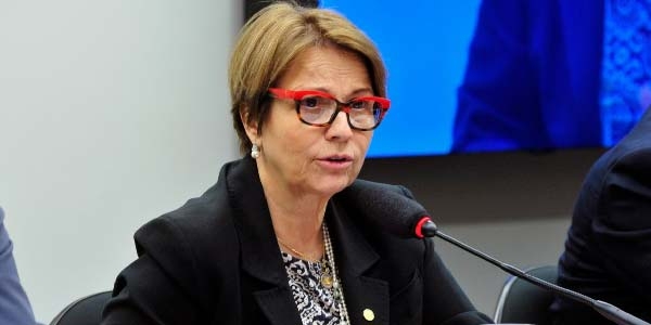 Agropecuária pode contribuir para economia verde no Brasil, diz ministra Tereza Cristina