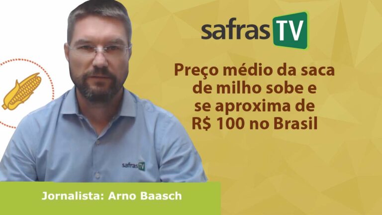 Preço médio da saca de milho sobe e se aproxima de R$ 100 no Brasil