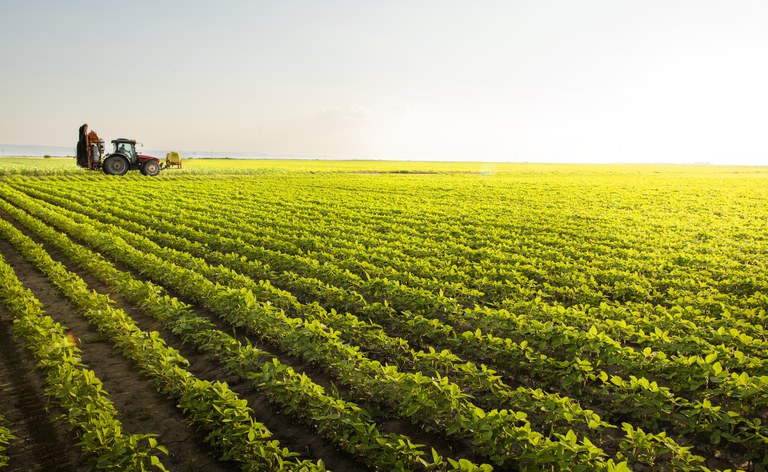 USDA e Conab se destacam na agenda do Agro da primeira semana de dezembro