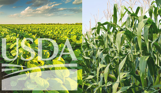 USDA e Conab se destacam na agenda do Agro entre 10 e 14 de julho