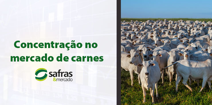 Brasil tem possível concentração no mercado de carnes