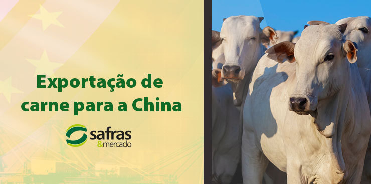 Exportação de Carne: a dependência brasileira para a China