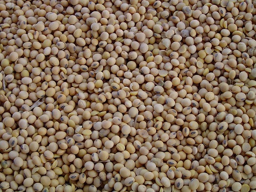 Industrias de Paraguay podrán procesar soja hasta junio por sequía