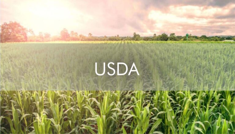 Intenção de plantio do USDA se destaca na agenda do Agro na última semana de março. Confira!