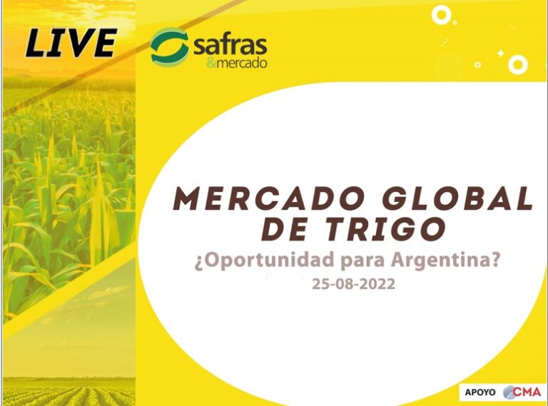 WEBINAR: Argentina deberá buscar mercados alternos para exportar trigo, ante caída de demanda de Brasil