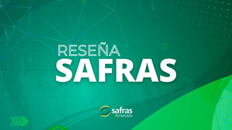 Vea el análisis sobre los efectos en la comercialización del dólar soja en Argentina (Video)