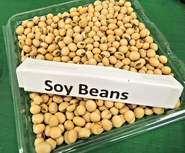 Bolsa de Cereales de Buenos Aires recorta estimación de producción de soja en Argentina para 33,5 mi ton