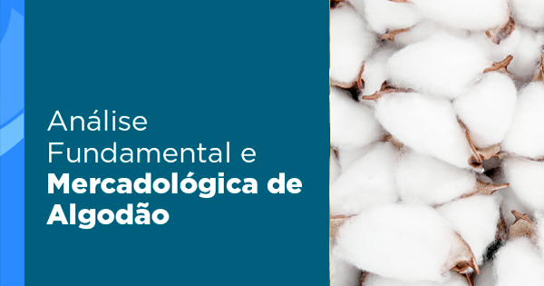 Curso Analise Fundamental e Mercadologica de Algodao Safras Mercado