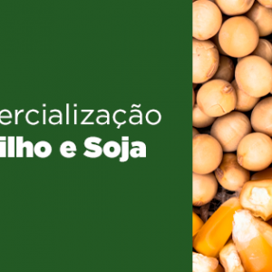 Curso Comercializacao de Milho e Soja Safras Mercado