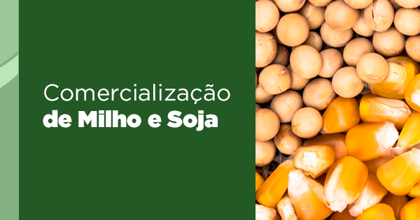 Curso Comercializacao de Milho e Soja Safras Mercado