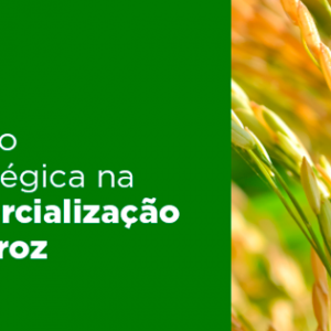 Curso Gestao Estrategica na Comercializacao de Arroz Safras Mercado