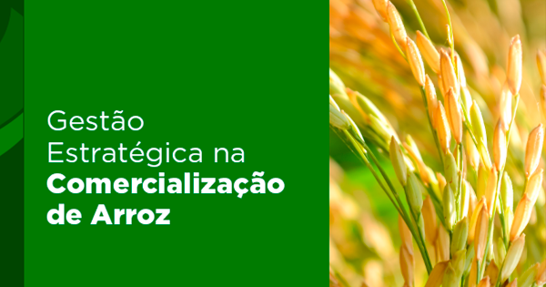 Curso Gestao Estrategica na Comercializacao de Arroz Safras Mercado