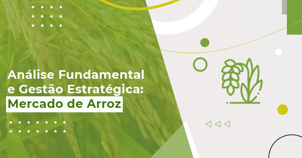 curso gestao estrategica na comercializacao de arroz