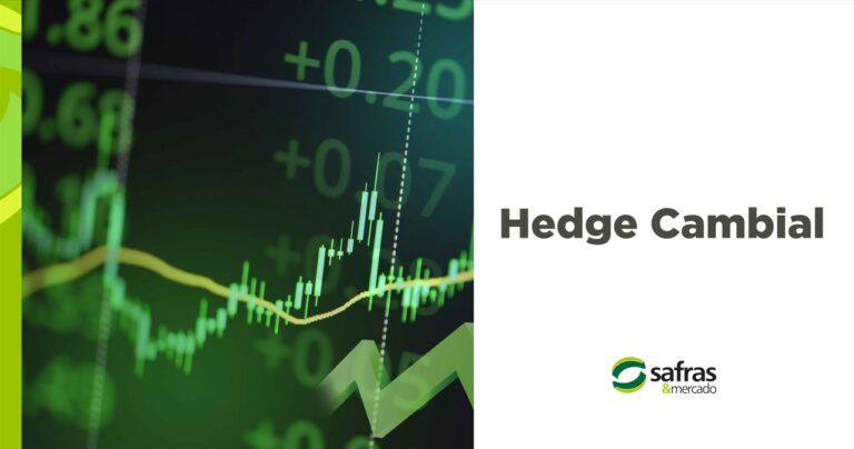 Hedge Cambial: aprenda a proteger o seu dinheiro das mudanças no câmbio