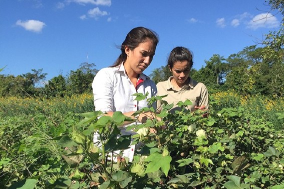 Agricultura