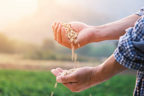 Secretario de Agricultura argentino detalla medidas para fertilizantes y aceite de soja