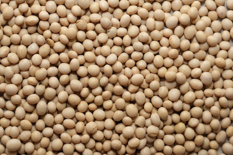 Line-up de Brasil prevé envíos de soja por 2.734 mi de ton por en enero