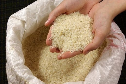 Safra de arroz de Myanmar deve somar 12,1 mi de t beneficiadas em 2024/25