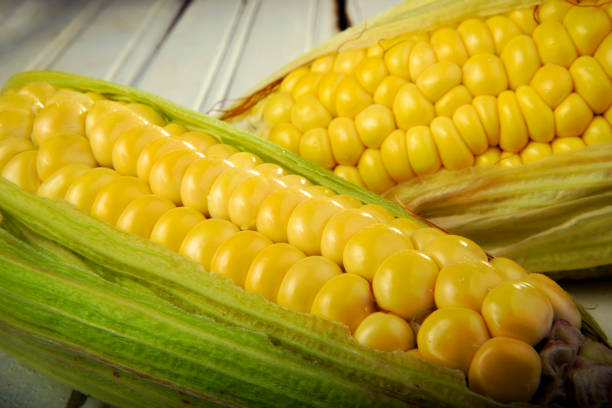 Crecen las oportunidades de venta de maíz en Argentina con precios que se vuelven más rentables