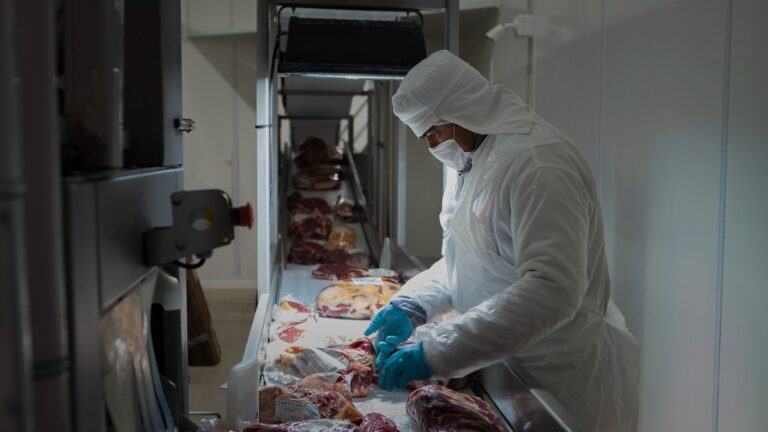 Senasa autoriza exportación de carne bovina y ovina Kosher con hueso a Israel