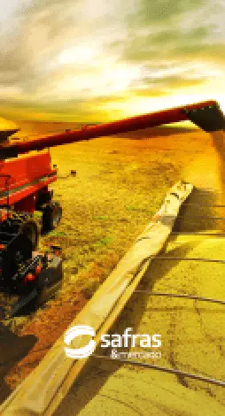 Chicago dispara e fecha com alta de 7% no trigo após USDA projetar menor safra dos EUA em mais de 50 anos
