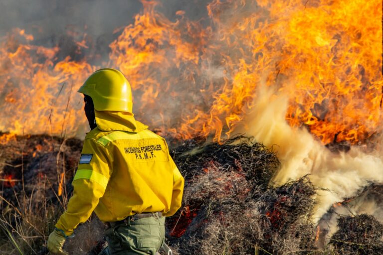 Entidades rurales de Argentina reclaman nueva ley de manejo de fuego