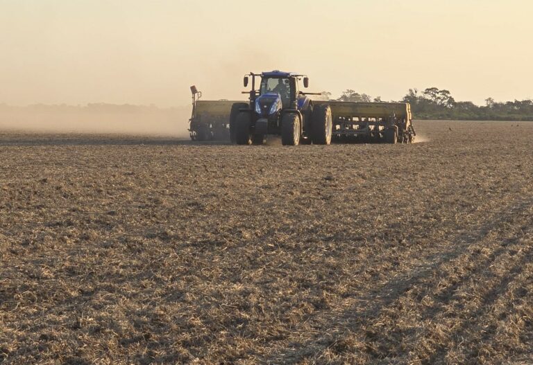 Área agrícola espera lluvias escasas y mínimas bajo lo normal