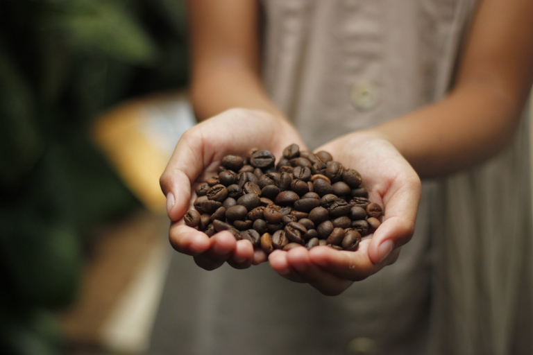 Mercado doméstico de café deve iniciar semana com negócios travados