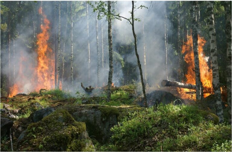 Falta de lluvias y altas temperaturas favorecen desarrollo de incendios en Córdoba y San Luis – ORA