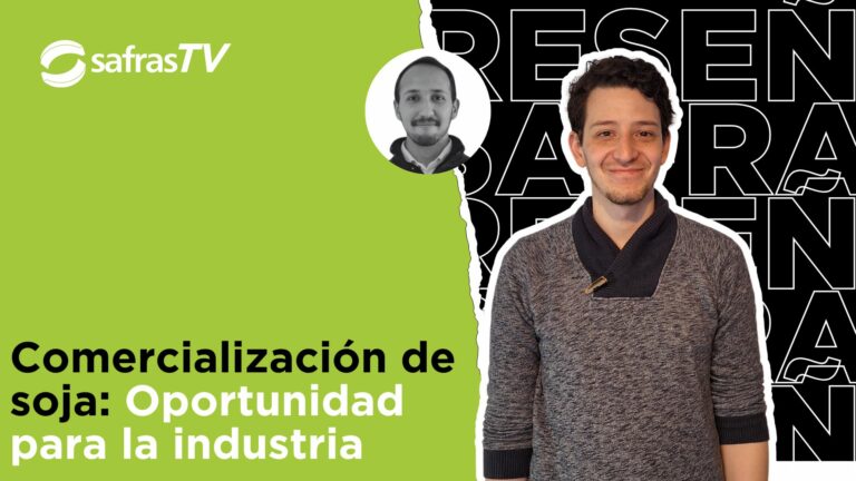 SAFRAS TV: Aceite de soja fue oportunidad para el mercado. ¿Qué expectativas hay hasta fin de año?