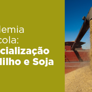 academia agricola especializacao milho soja safras mercado