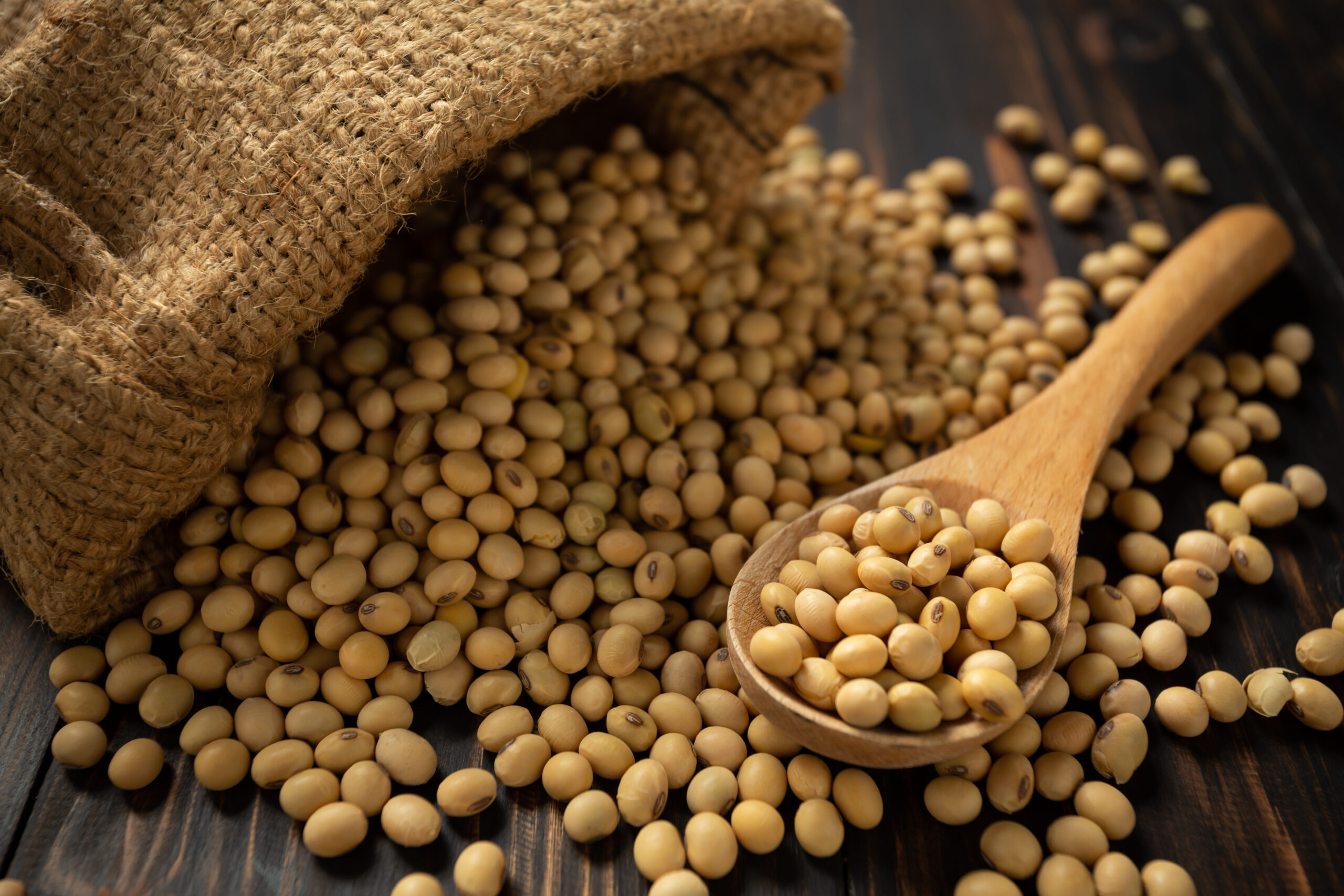 Soy bean on white table background.